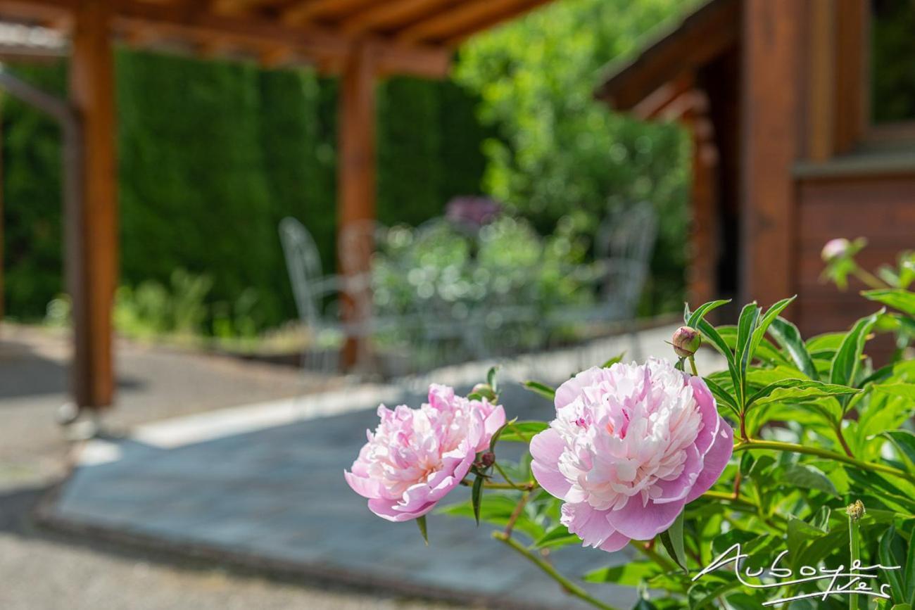 Chalet La Calougeotte, Jardin, Spa Et Sauna Prives 르메니 외부 사진